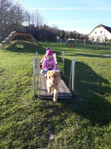 Handa bis 9.1.2018 029