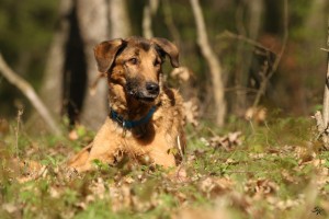 Handy bis 21.04.2019 040