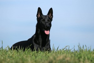 Handy bis 5.4.2019 017